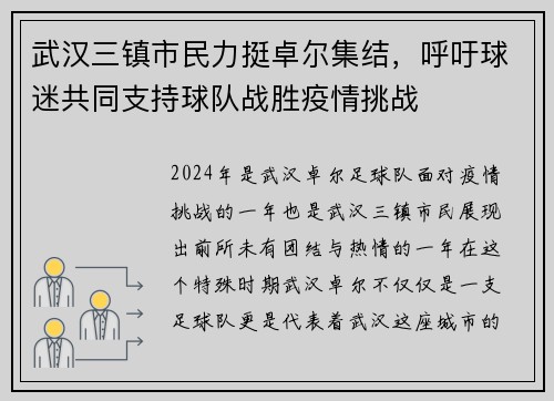 武汉三镇市民力挺卓尔集结，呼吁球迷共同支持球队战胜疫情挑战